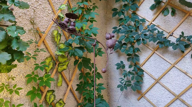 Ресторант "Аполония"