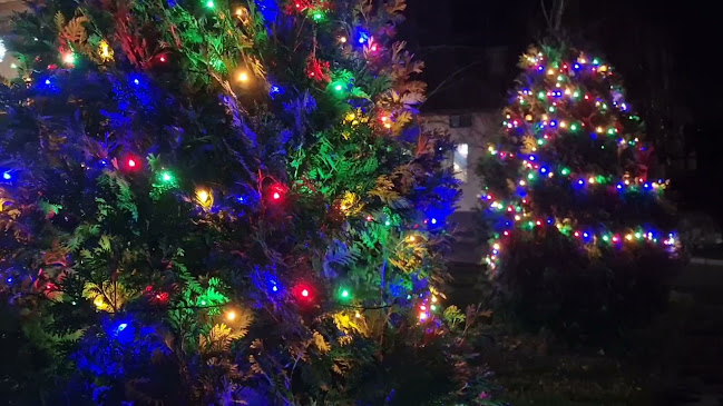 Opinii despre Ресторант Приятели în Сапарева баня - Гастрономия и хотелиерство