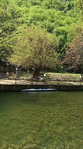 Чайка ресторант