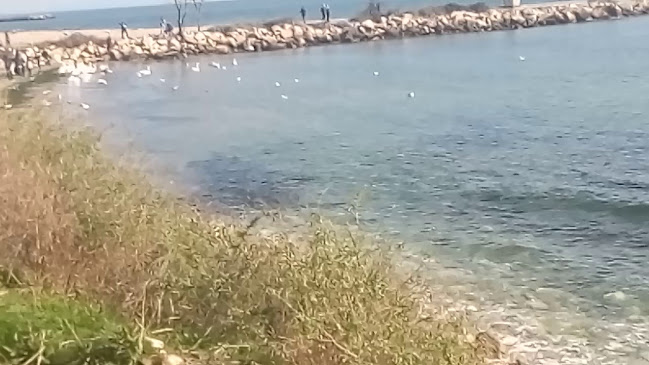 Кръчмата - Варна