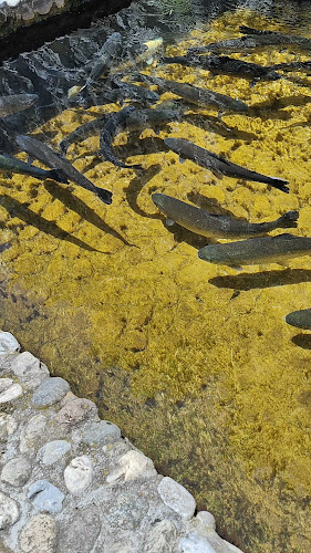 Механа Орела