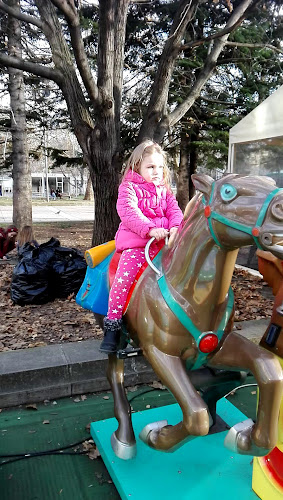 Централ Монтана