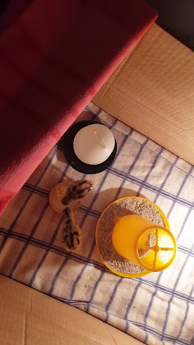 Opinii despre Каравана Парк în Долни Дъбник - Гастрономия и хотелиерство