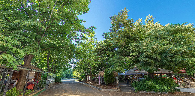 Мистрал - Бургас