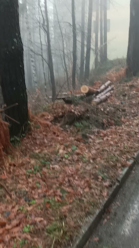 Comentarii opinii despre Туристически комплекс „Брезата“