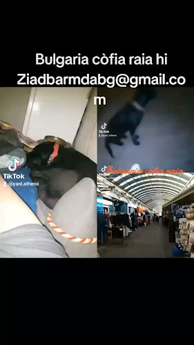 Бистро Рино