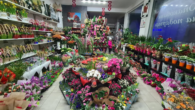 Цветарски Магазин Магнолия - Самоков