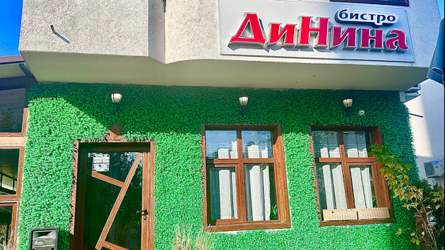 ДиНина