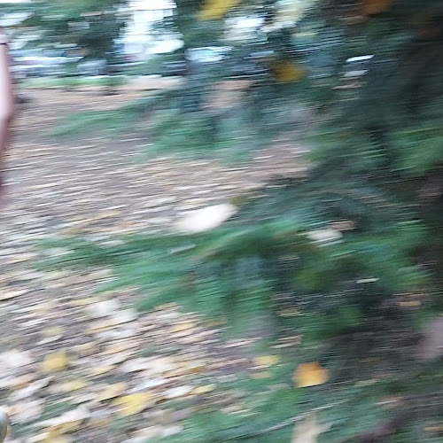 Прадо Младост - София