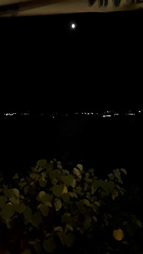 Oliva Fish &Grill - Созопол