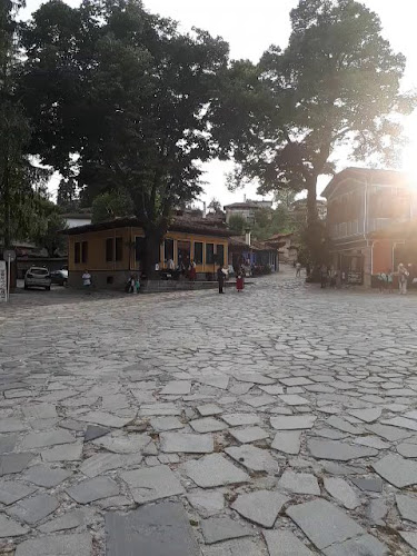 606 59, 2077 Копривщица