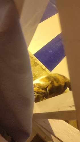 Гръцки ресторант Свети Влас | Гръцки ресторант "Калея" - Свети Влас