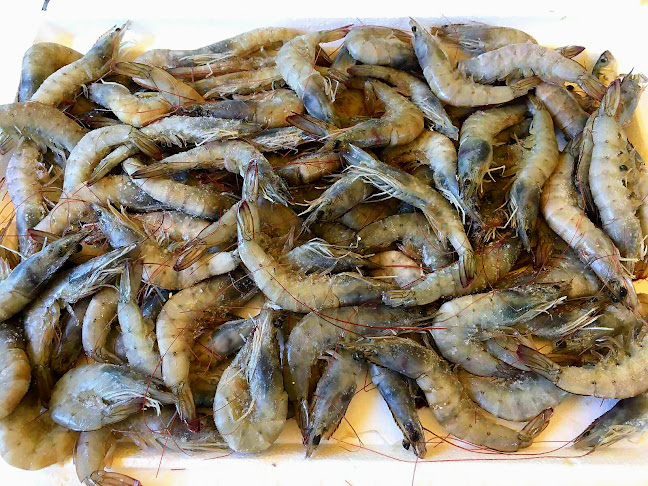 Comentarii opinii despre Бистро V2