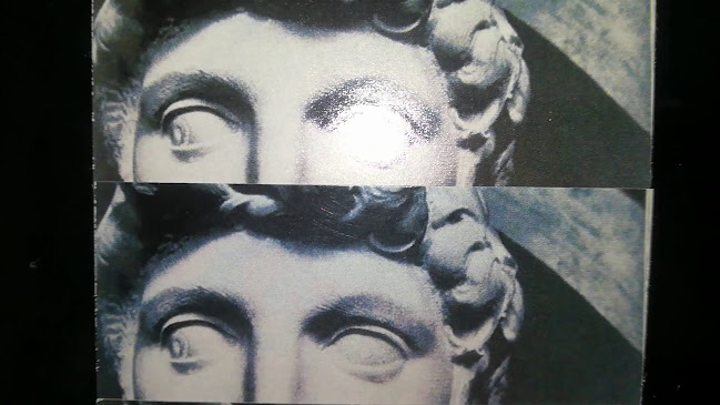 TAM - Гастрономия и хотелиерство