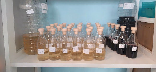 Opinii despre ДИОНИС-ЕЛЕНА în Русе - Гастрономия и хотелиерство