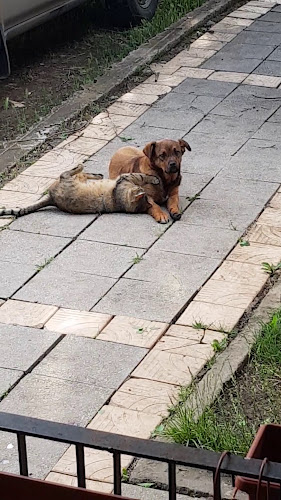 Opinii despre Каравана Парк în Долни Дъбник - Гастрономия и хотелиерство