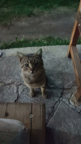 Ресторант Колелото