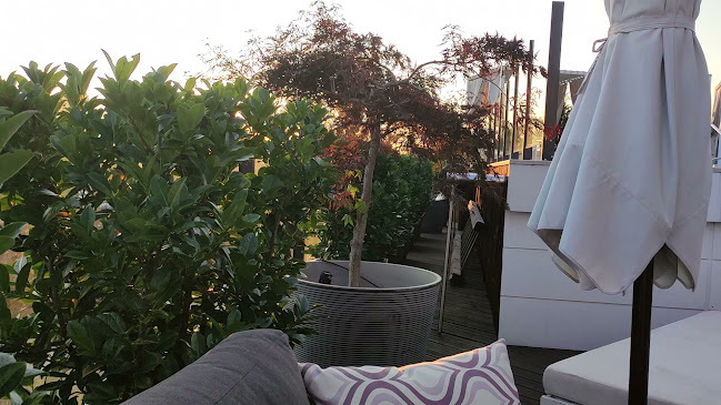 Кокос - София