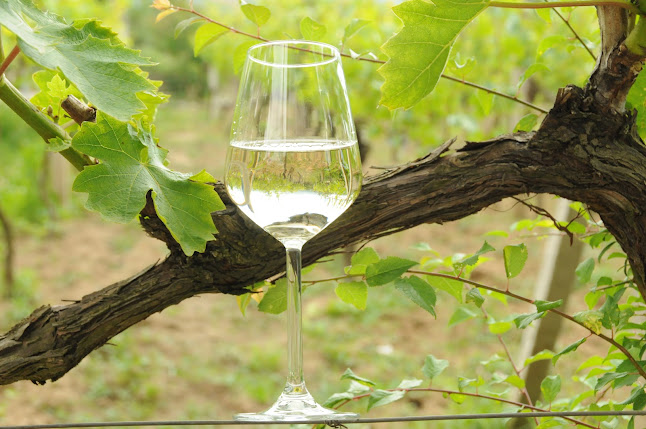 Рилска изба магазин - Благоевград