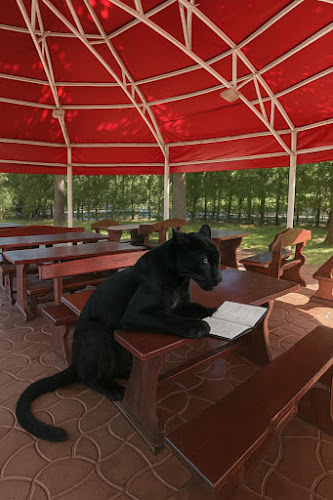 Comentarii opinii despre Комплекс Мъглиж