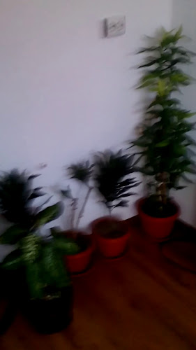 кв. Новия град, ул. „Пирин“ 29-31, 2770 Банско