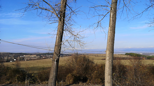 Язовир Михайлово - Гастрономия и хотелиерство