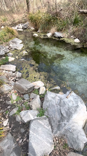 Кафе - ресторант “Villy”