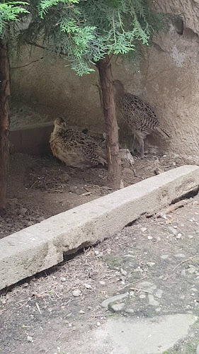 Каравана Парк