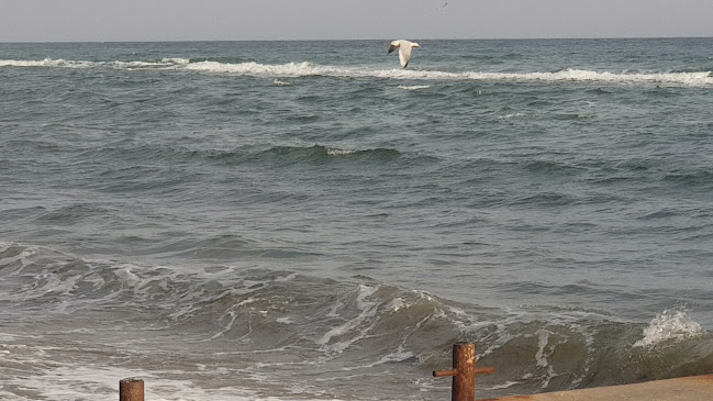 Fish & BBQ Restaurant