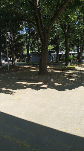 Кафене "Слънчевата"