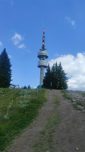 Opinii despre Чайна Мургавец în Пампорово - Гастрономия и хотелиерство