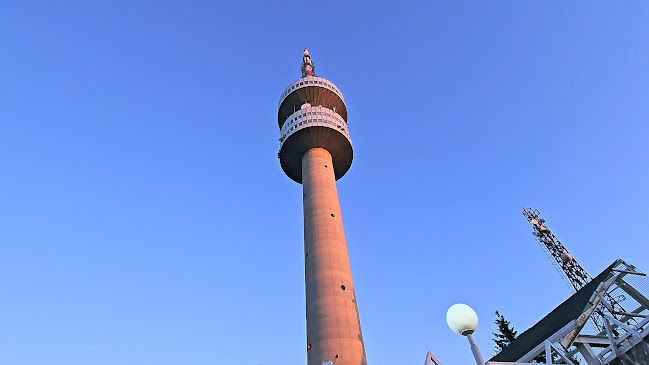 Снежанка Пампорово - Гастрономия и хотелиерство