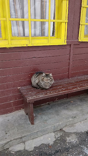 Opinii despre Пивница Баба и Дядо în Велинград - Гастрономия и хотелиерство