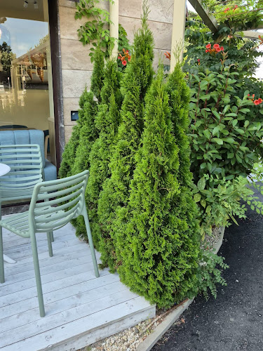 Opinii despre Кафе-сладкарница Захаро - Бургас, ЖК Изгрев în Бургас - Гастрономия и хотелиерство