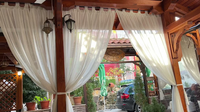 Comentarii opinii despre Маслина