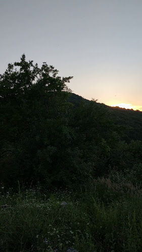 MOTEL"THE GOAT HORN"