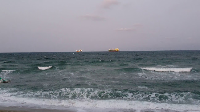 Opinii despre Бистро Морска Звезда | Ресторант Фичоза în Варна - Гастрономия и хотелиерство