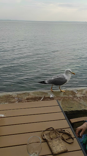 Opinii despre Трахана în Поморие - Гастрономия и хотелиерство