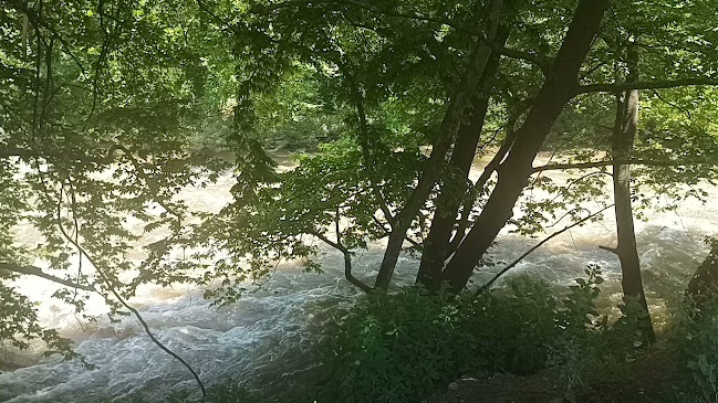 Comentarii opinii despre Motel-Restaurant Merina