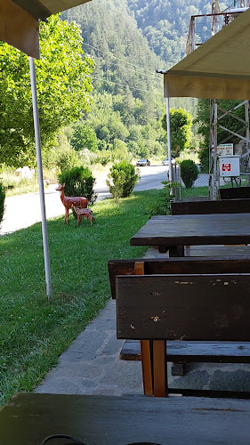 Opinii despre Механа Орела în Девин - Гастрономия и хотелиерство