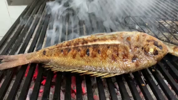 Opinii despre Mezze în София - Гастрономия и хотелиерство