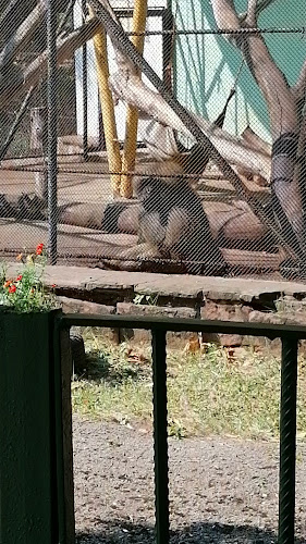 Вароша, ул. „Христо Иванов-Големия“, 5503 Ловеч