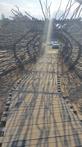 Comentarii opinii despre See me beach