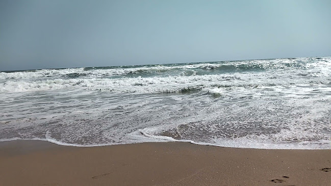 Opinii despre Котвата în Бяла - Гастрономия и хотелиерство