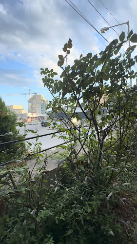 Opinii despre Ресторант ,,Терасата"/Restaurant ,,The Terrace" în Варна - Гастрономия и хотелиерство