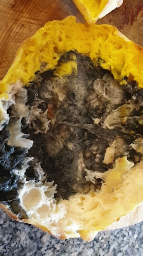 Пеперончино пица и паста