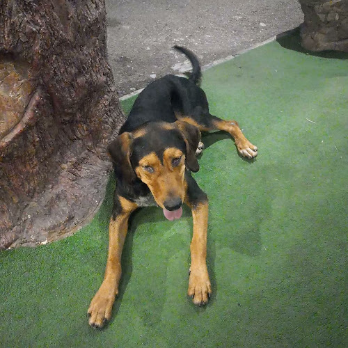 Tavern in Kolcho - Минерални бани