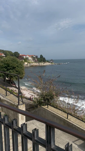 Бързо хранене Кони