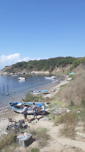 При Томата - Черноморец