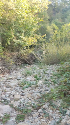 Бистро Бабой